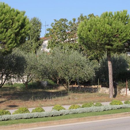 Apartments And Rooms With Parking Space Rovinj - 7170 Exterior photo